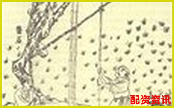 杠桿原理探源 阿基米德撬動物理學支點的智慧
