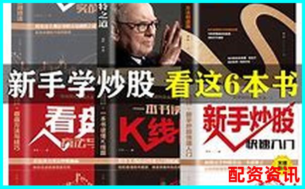 杠桿炒股實(shí)戰(zhàn)指南 從入門到精通的操盤技巧