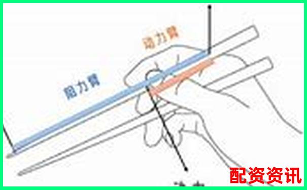 核桃夾杠桿原理解析究竟是費(fèi)力還是省力工具